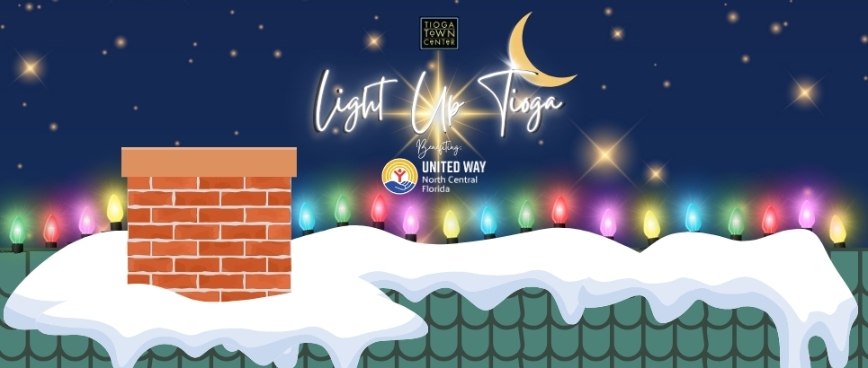 Graphic illustration of rooftop covered in snow and Christmas lights against a starry sky