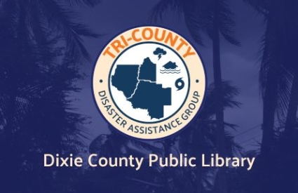 Palm trees sway in the wind under a cloudy, gray sky