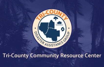 Palm trees sway in the wind under a cloudy, gray sky