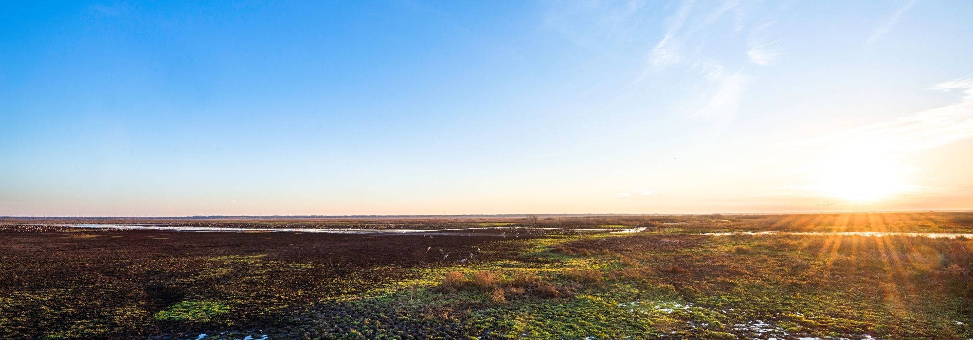 Wide landscape at sunrise with a clear blue sky, flat fields and patches of greenery, and the sun low on the horizon casting golden light across the countryside.