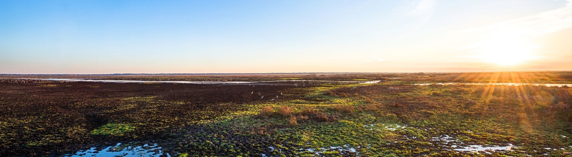 Wide landscape at sunrise with a clear blue sky, flat fields and patches of greenery, and the sun low on the horizon casting golden light across the countryside.