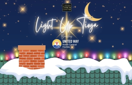 Graphic illustration of rooftop covered in snow and Christmas lights against a starry sky